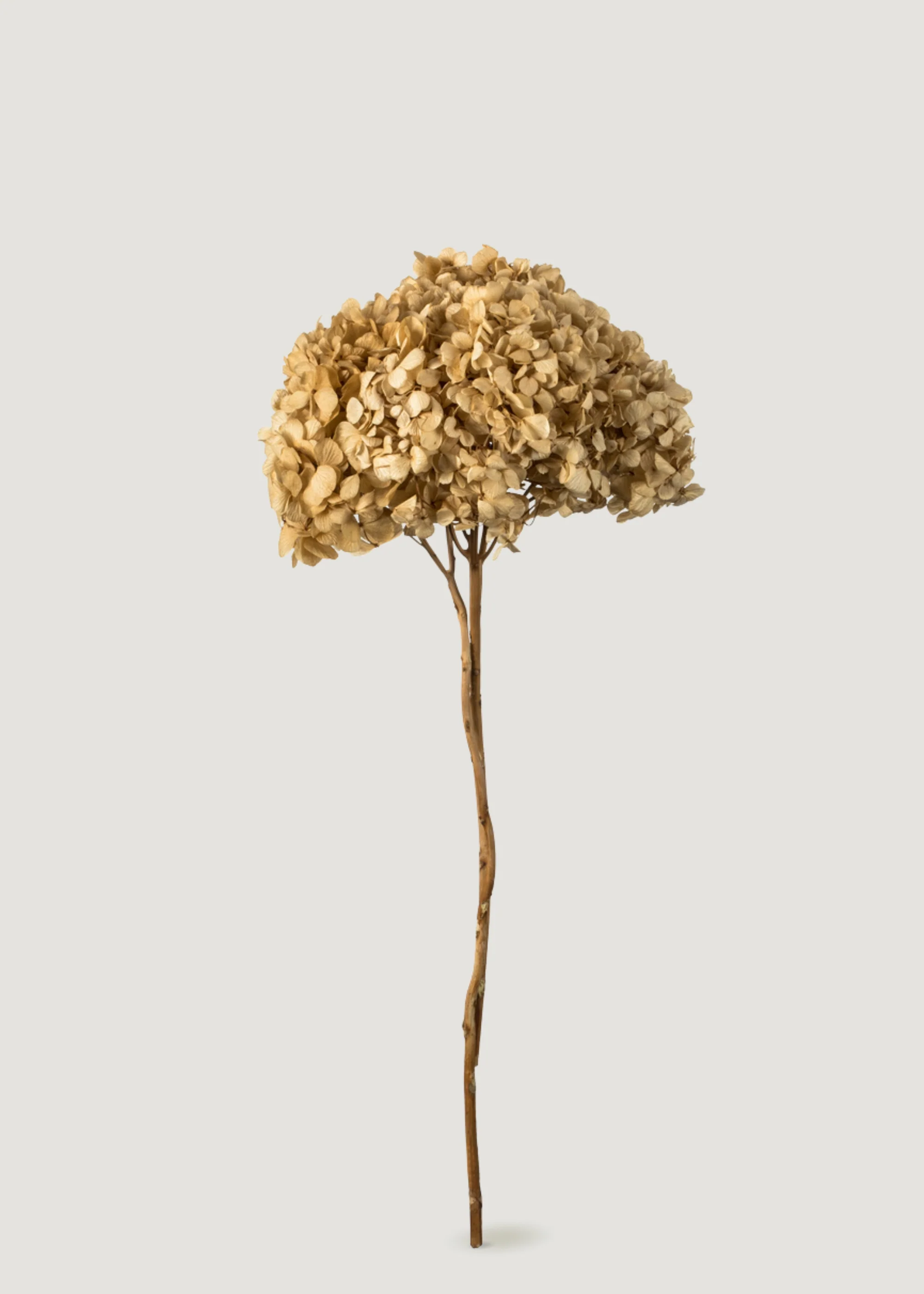 New Artificial Flowers, Fake Plants and Vases